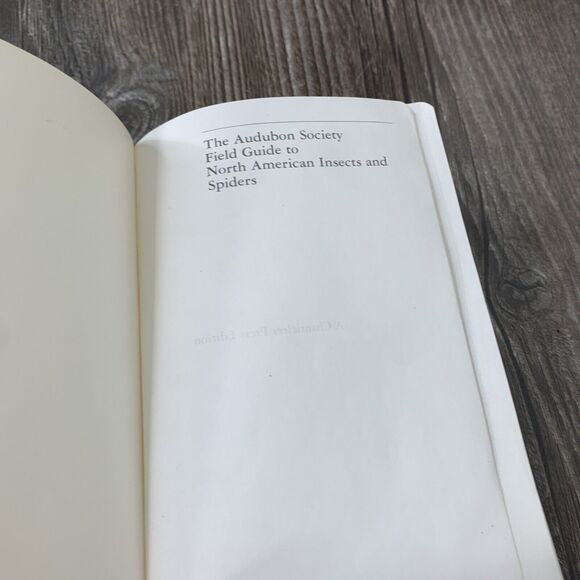 National Audubon Society Field Guide to Insects and Spiders : North America - Picture 7 of 12